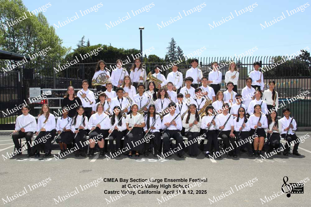 Musical Images